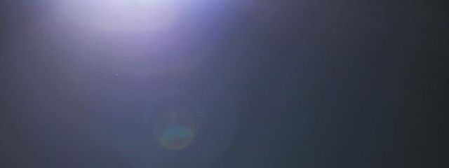 강아지さんの壁紙画像