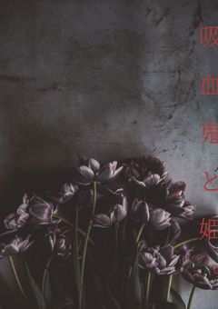　吸　血　鬼　と　姫　。