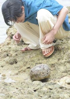 すのびーえるスロット集