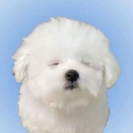 れいさんのアイコン画像