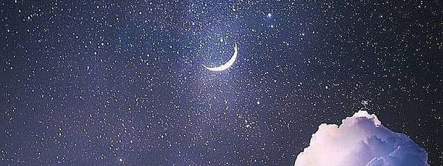 見る専さんの壁紙画像