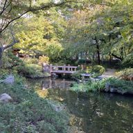 dailyさんのアイコン画像