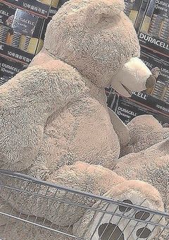 吸血鬼 の 専属 メイド 。