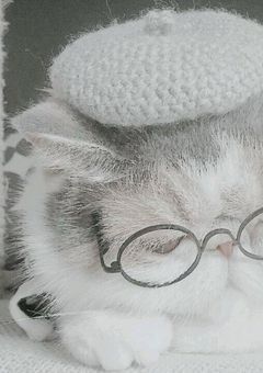      𝑊𝑒𝑎𝑡ℎ𝑒𝑟 𝐹𝑜𝑟𝑒𝑐𝑎𝑠𝑡𝑒𝑟 "