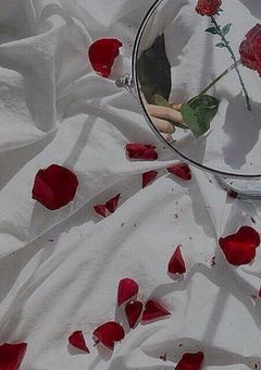 マフィア の 性奴隷 ﾞ