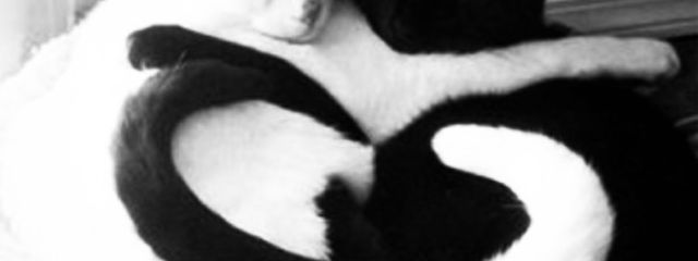 ︎ ︎ ︎ ︎︎ ︎ ︎ ︎︎ ︎황さんの壁紙画像