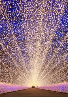 美しくも儚い者たち 完結