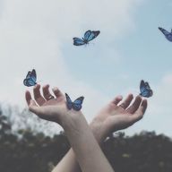 のっこさんのアイコン画像