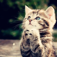 하운さんのアイコン画像