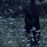 管理局さんのアイコン画像