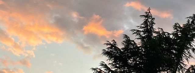 Hanaさんの壁紙画像