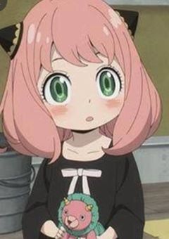 アーニャの姉ハイキューキャラ達に溺愛される件