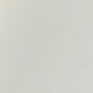 RNさんのアイコン画像