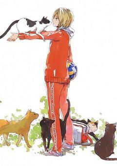 音駒には子犬がいました