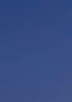 こ っ ち む い て 原 神 さ ん ！　