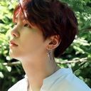 슈가