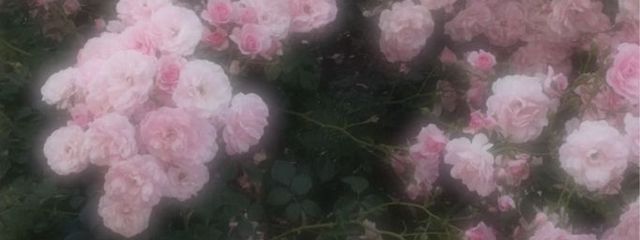 Mami ๐งใใใฎๅฃ็ด็ปๅ