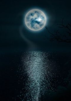 貴方の声をもう1度だけ…