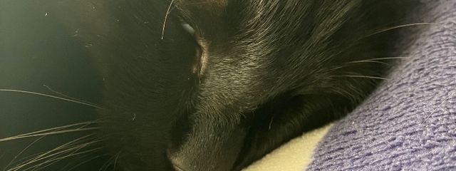 @ なぎちゃ さんの壁紙画像