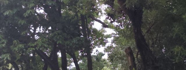 targiさんの壁紙画像