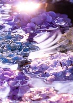 クローバーの花言葉