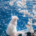 (なまえ)
