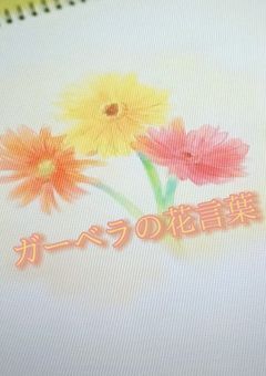 ガーベラの花言葉