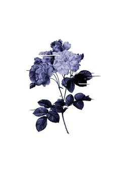 【wr×2】BLイラスト詰め