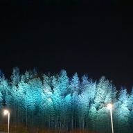 𝙤𝙩𝙤𝙠𝙖さんのアイコン画像