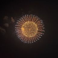 きぃさんのアイコン画像