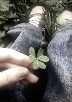 巡 り 巡 っ て 、 ま た 君 と .