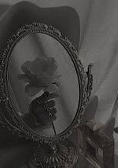 お　隣　　お　友　達　　募　集　〜。　🕊