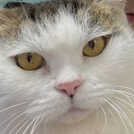 mnmtさんのアイコン画像