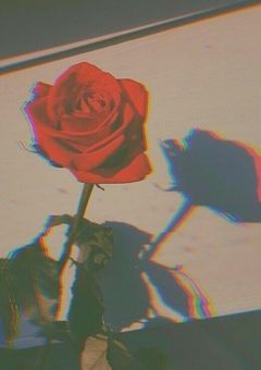 Love Dream Happiness⸜❤︎⸝
