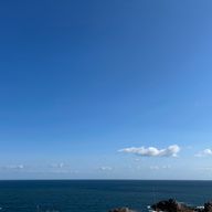 🤍🍃さんのアイコン画像