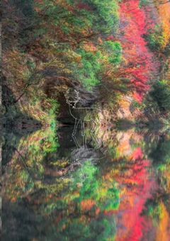 私達は殺し屋です。