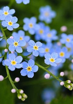 　　じぇーおーわんはうす。