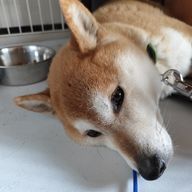 yui@多忙さんのアイコン画像