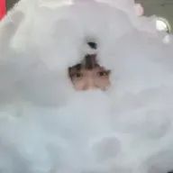ハクアさんのアイコン画像