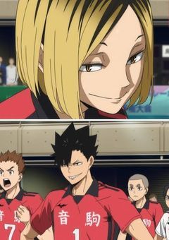 音駒高校のマネージャーは私