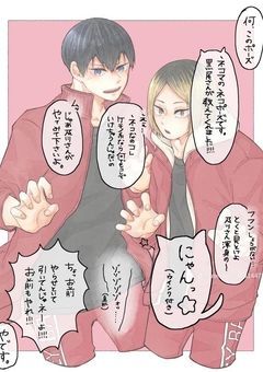 音駒高校のマネージャーは幽霊部員?!