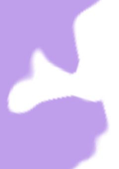 モデルとファン