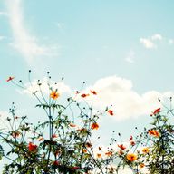 石田空さんのアイコン画像