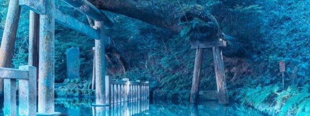 レイさんの壁紙画像