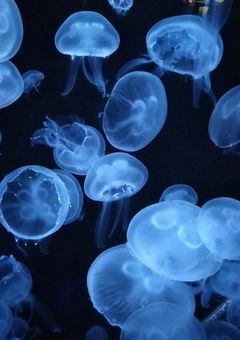 創作物消化部屋