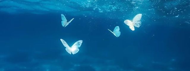 𝓡𝓮𝓷 ☪︎⋆｡˚✩さんの壁紙画像