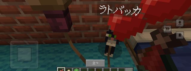 スープみかんさんの壁紙画像