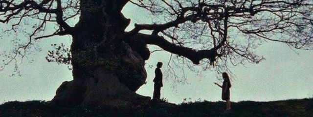 すゆさんの壁紙画像
