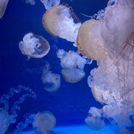 那湖さんのアイコン画像