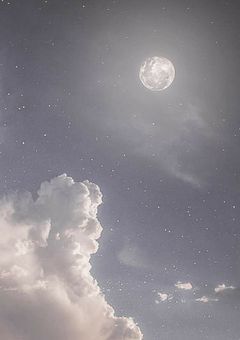 ENHYPEN 【腐向け】